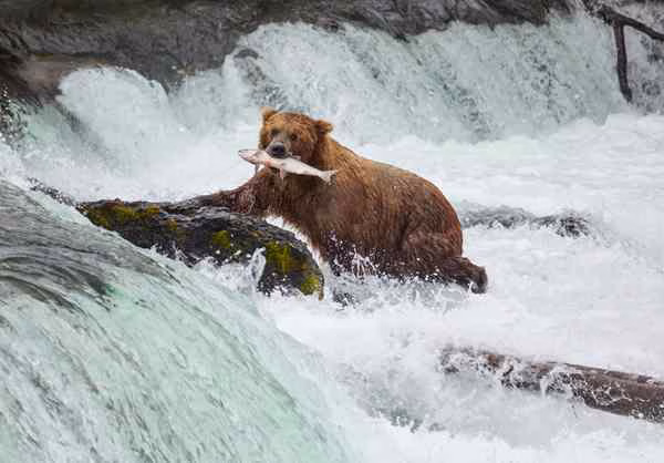 ALASKA